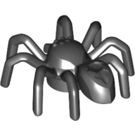 Insect, Spider with Elongated Tail Section