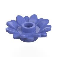Plant, Sunflower 2 x 2 with 16 Petals