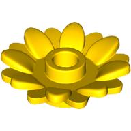 Plant, Sunflower 2 x 2 with 16 Petals