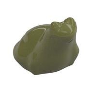 Animal, Frog